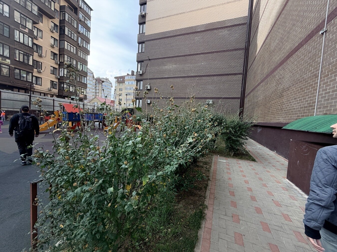 Офисное помещение 56 м², фотография 9